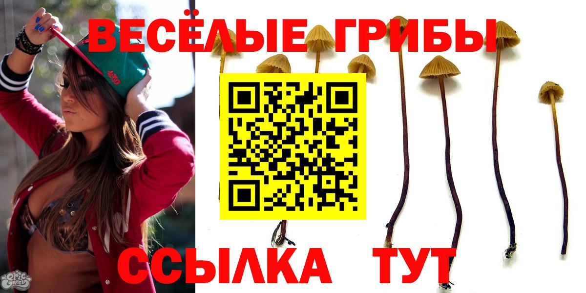 Псилоцибиновые грибы Psilocybine cubensis  Вход с VPN  Елец 